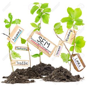 Graphic with plants and SEM tags