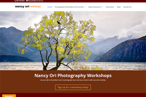 Nancy Ori Workshops Homepage screen capture