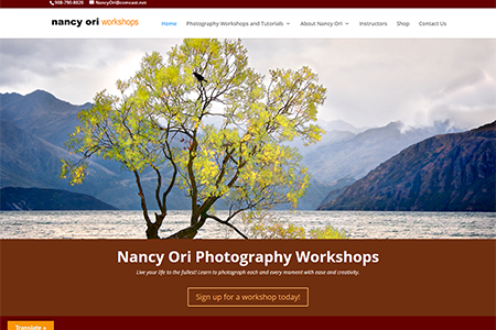 Nancy Ori Workshops